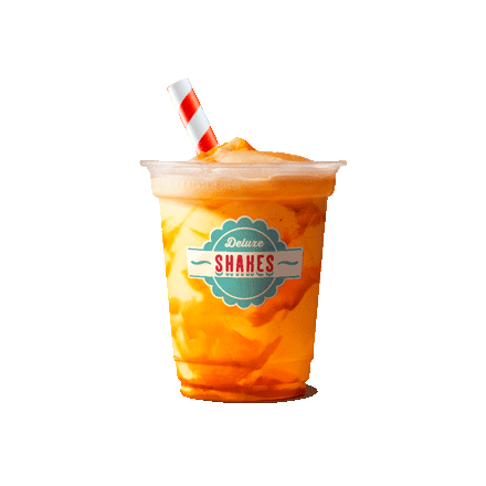 #13. Pumpkin Spice Shake (300 ml)